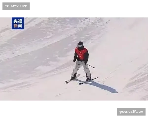 加拿大自由式滑雪坡面障碍 凭借高难度动作夺冠